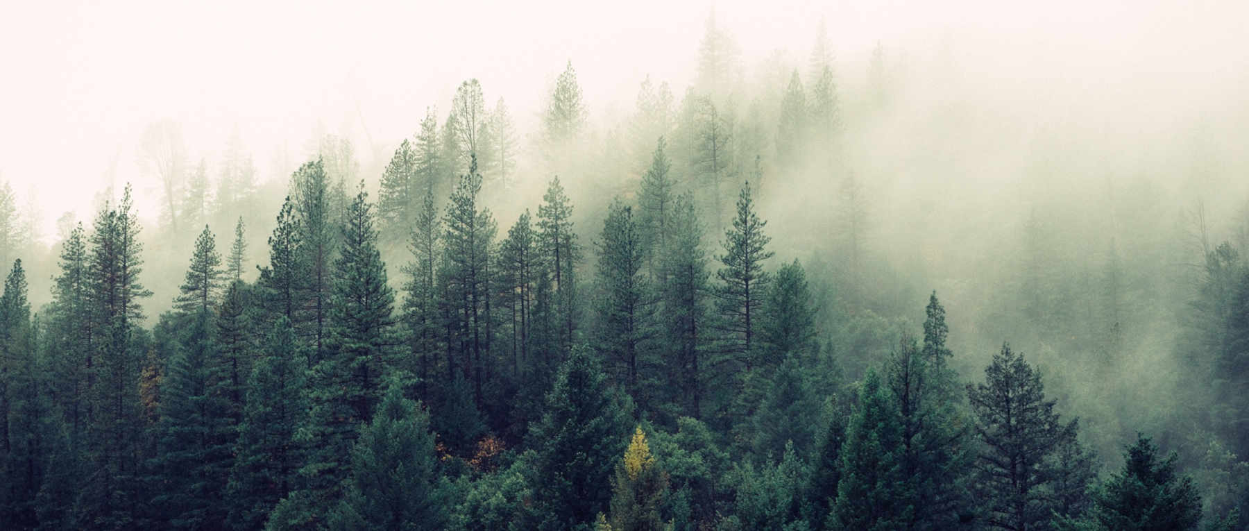 Free Stock Photos For Your Project
